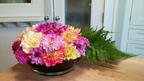 A bowl of dahlias with a fern tail